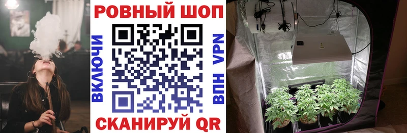 Купить Экстази  Мефедрон  Канабис  А ПВП  Петровск-Забайкальский