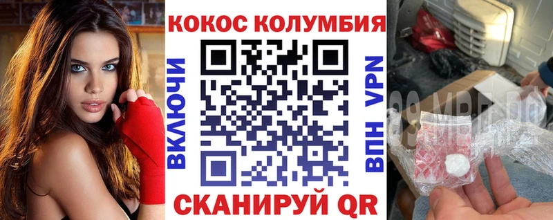 Купить закладки  Петровск-Забайкальский  COCAIN FishScale 