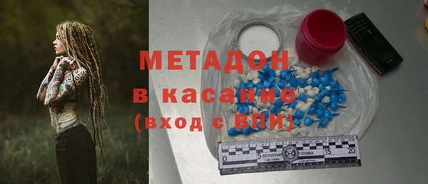 индика Арсеньев
