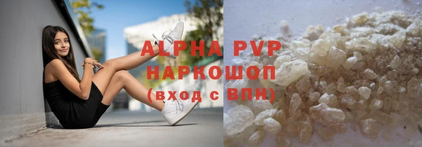 индика Арсеньев