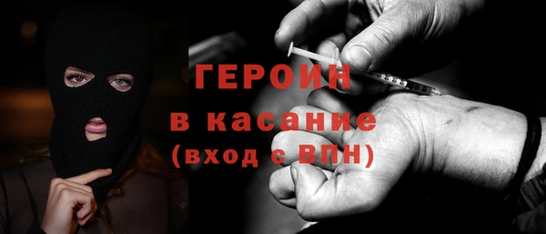 индика Арсеньев