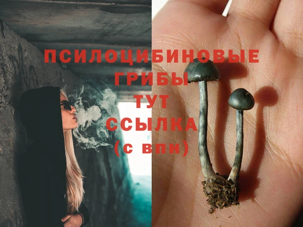 индика Арсеньев