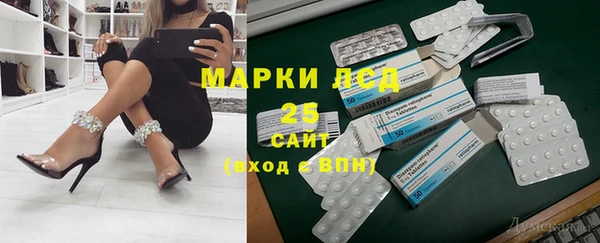 винт Аркадак