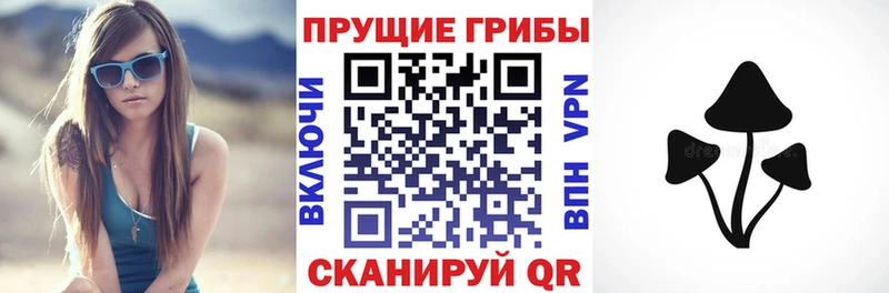 Псилоцибиновые грибы мухоморы  Купить где  Петровск-Забайкальский 